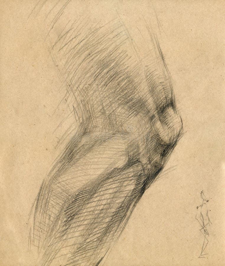 Knee - drawing stock illustration. Illustration of pencil - 6784673