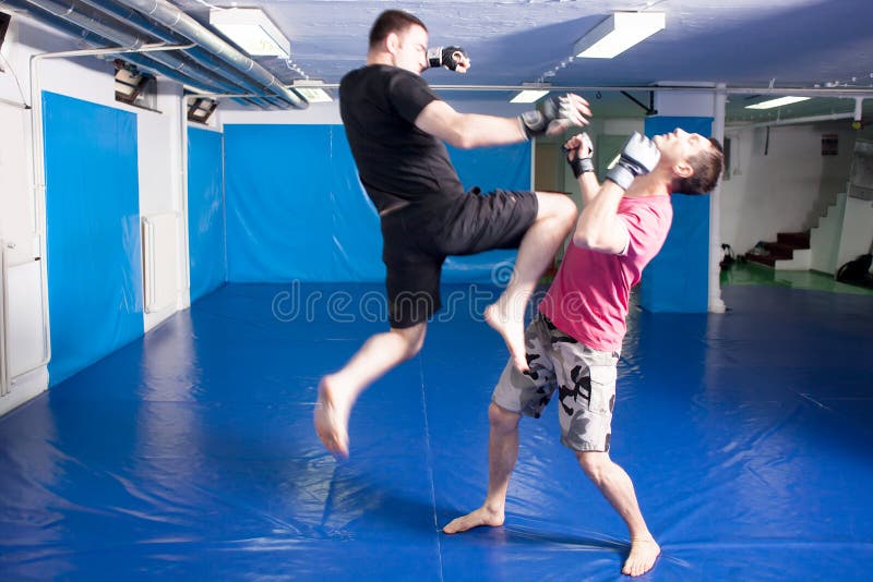 Leg Kick in the Belly during Martial Art Training Stock Photo Image