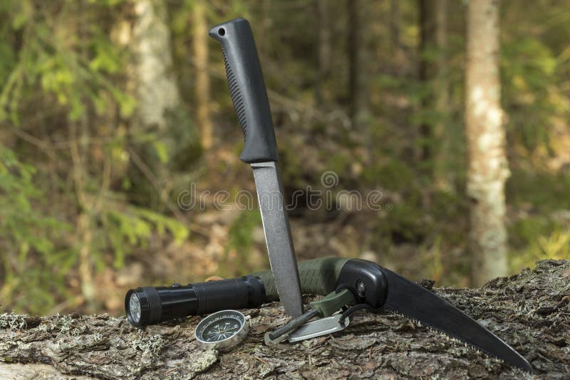 Knife and flint on the stump in the forest. Camping in nature. Survival in the wild