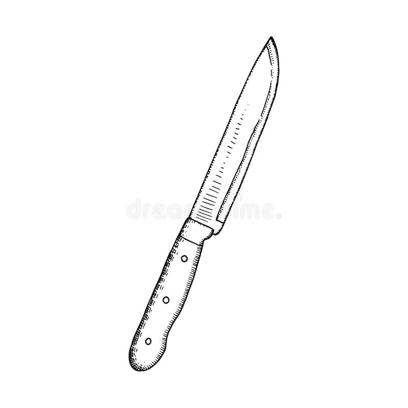 Knife Slim Kitchen Vector Hand Drawing Stock Vector Illustration of