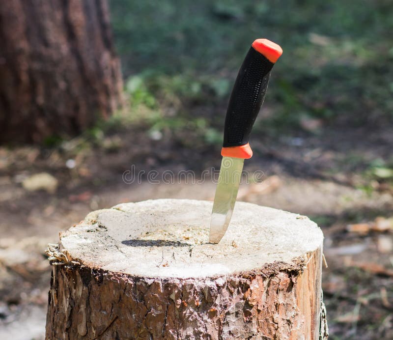 Hunting Knife in Tree Trunk Stock Image Image of sheath, black 25191195
