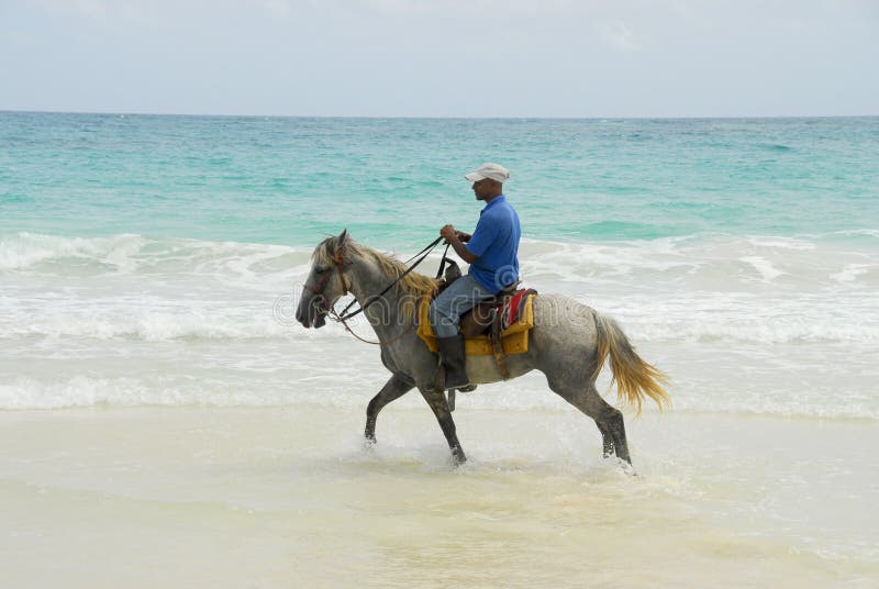 Knight in tropical paradise