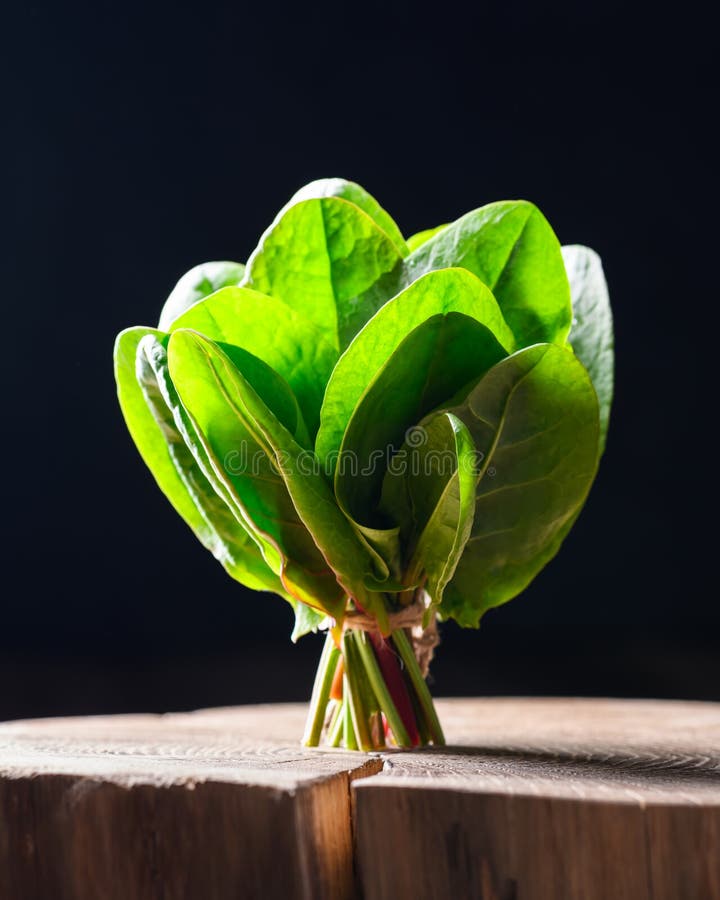 Knippe färska ekologiska vinbladsörter royaltyfri fotografi