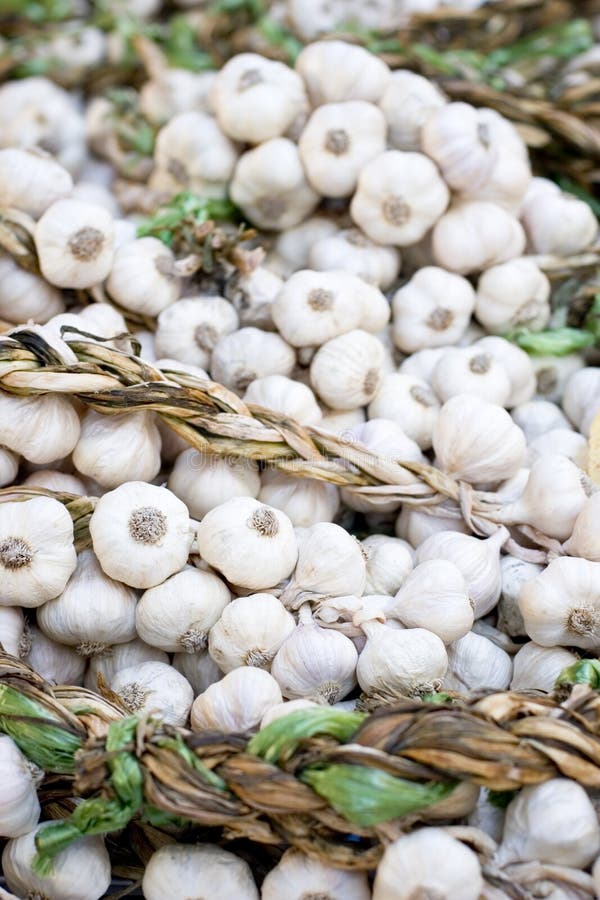 Loads of garlic. Loads of garlic.