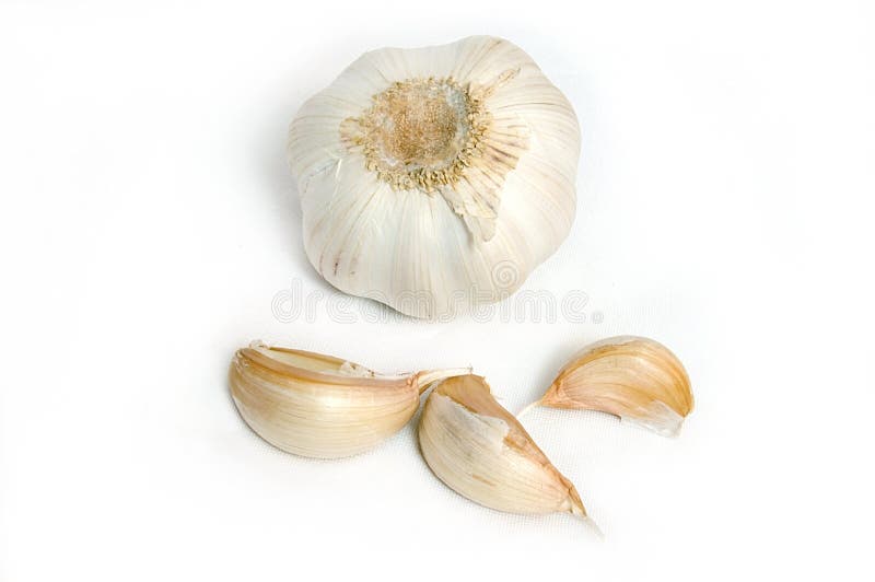 Garlic bulbs isolated on white. Garlic bulbs isolated on white