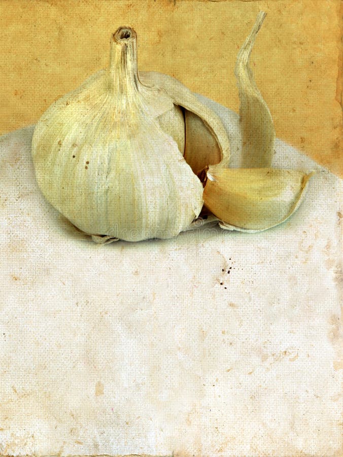 Fresh Garlic on a grunge background with copy-space for your text. Fresh Garlic on a grunge background with copy-space for your text.