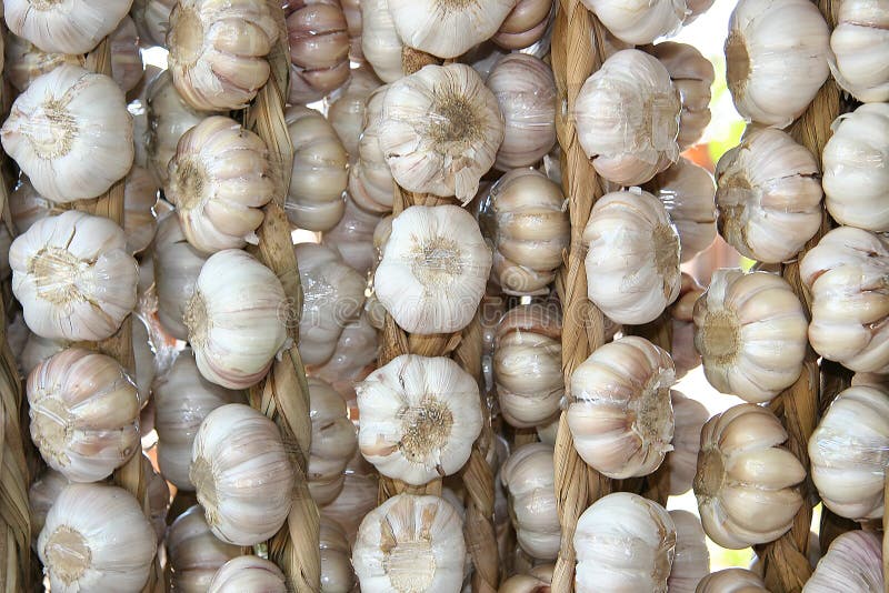 Knoblauchnelken lizenzfreie stockbilder Knoblauchnelken lizenzfreie stockbilder