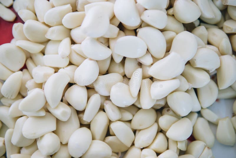 Knoflook staat ook wereldwijd bekend als het belangrijkste ingrediënt in het aziatische recept Het aroma van levensmiddelen wordt stock afbeelding Knoflook staat ook wereldwijd bekend als het belangrijkste ingrediënt in het aziatische recept Het aroma van levensmiddelen wordt stock afbeelding