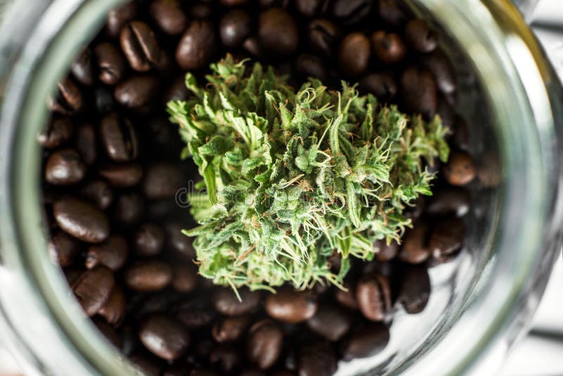 Knospe des Marihuanas in einem Glasgefäß lizenzfreie stockfotos Knospe des Marihuanas in einem Glasgefäß lizenzfreie stockfotos