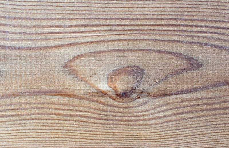 Knot a brown wood board stock photo. Image of board 239077080
