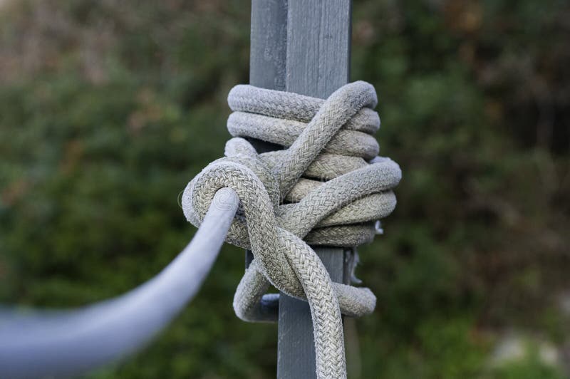 Knots stock photo. Image of cable, cables, eliminated 50864440