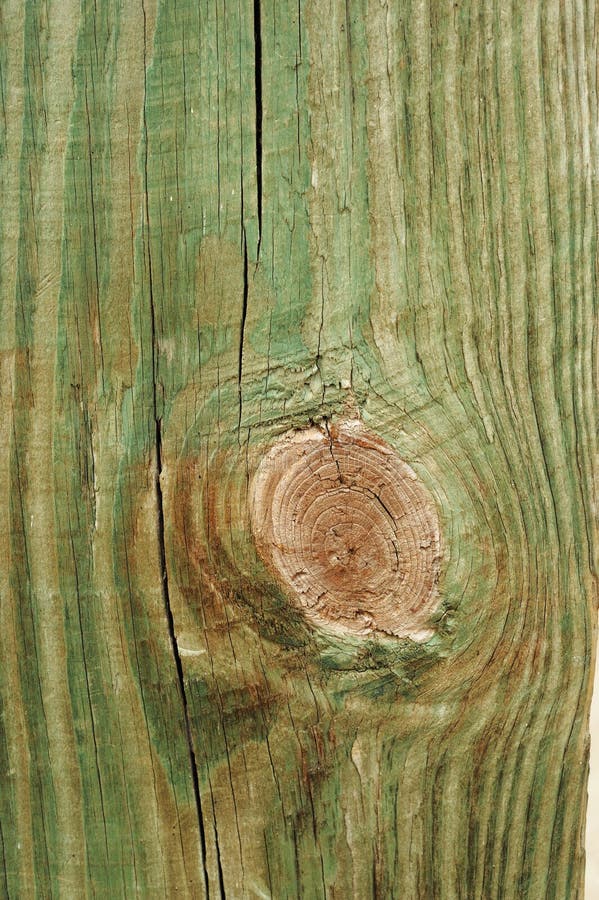 Knotted wood texture stock photo. Image of brown, green 60808572