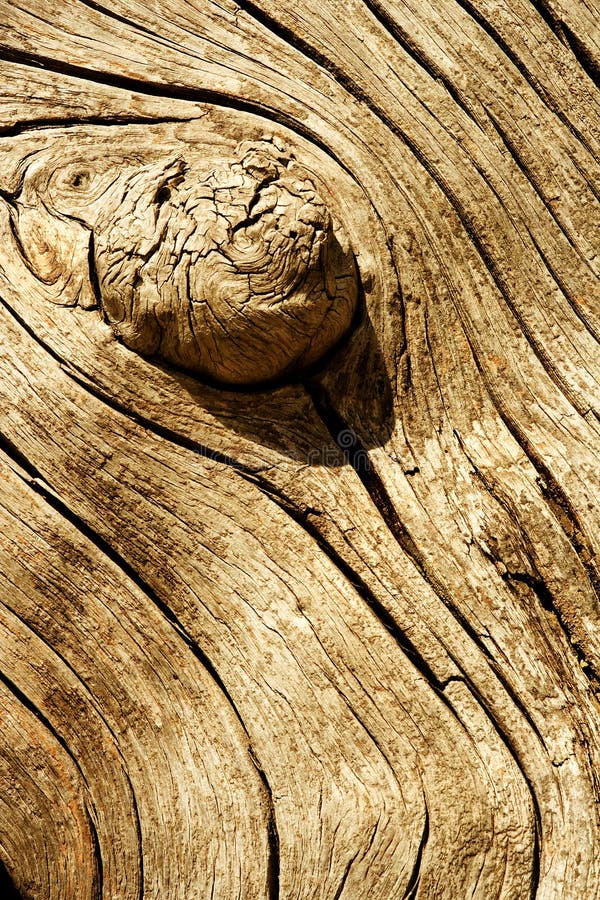 Knotty wood