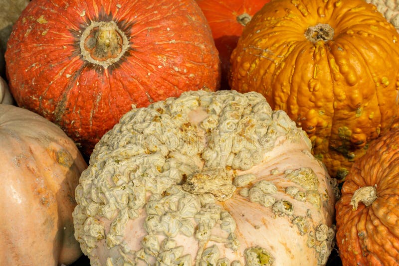 pie-booth-stock-photos-free-royalty-free-stock-photos-from-dreamstime