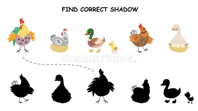 Knäppsvilt med karikatyrfåglar. Hitta rätt skugga för hönshönsrooster och ankor med ankning. Utbildning vektor illustrationer