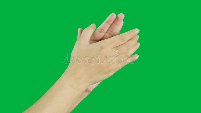 4 Ko applaudissements des mains des femmes, applaudissements isolés sur fond d'écran vert de la touche chroma banque de vidéos