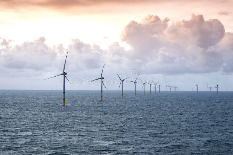 Ko i alpina landskapSunset over offshore-vindkraftverk - grön kraftproduktion arkivfoto