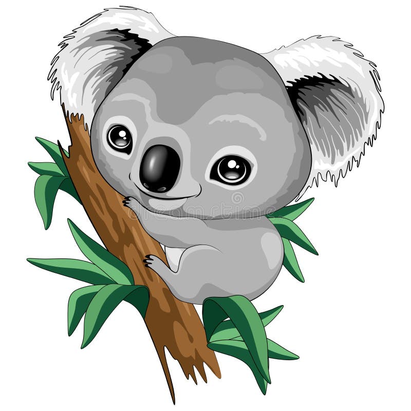 Koalas Stock Illustrations – 1,252 Koalas Stock Illustrations