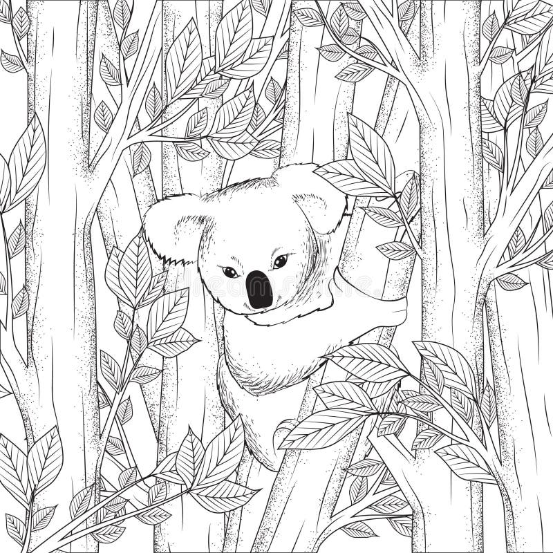 Koala Coloring Book: Koala Bear Coloring Book for Kids and adults  Containing Koala Designs in a variety of styles Koala Gifts for Toddlers,  (Paperback)