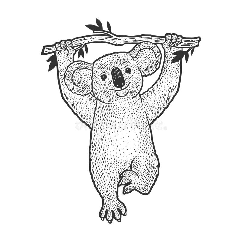 Koala Tattoo Stock Illustrations 189 Koala Tattoo Stock Illustrations Vectors Clipart Dreamstime