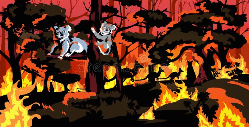 Koala Bears Sitting on Tree Forest Fires in Australia Animals Dying in  Wildfire Bushfire Natural Disaster Concept Stock Vector - Illustration of  blazing, escaping: 172353683