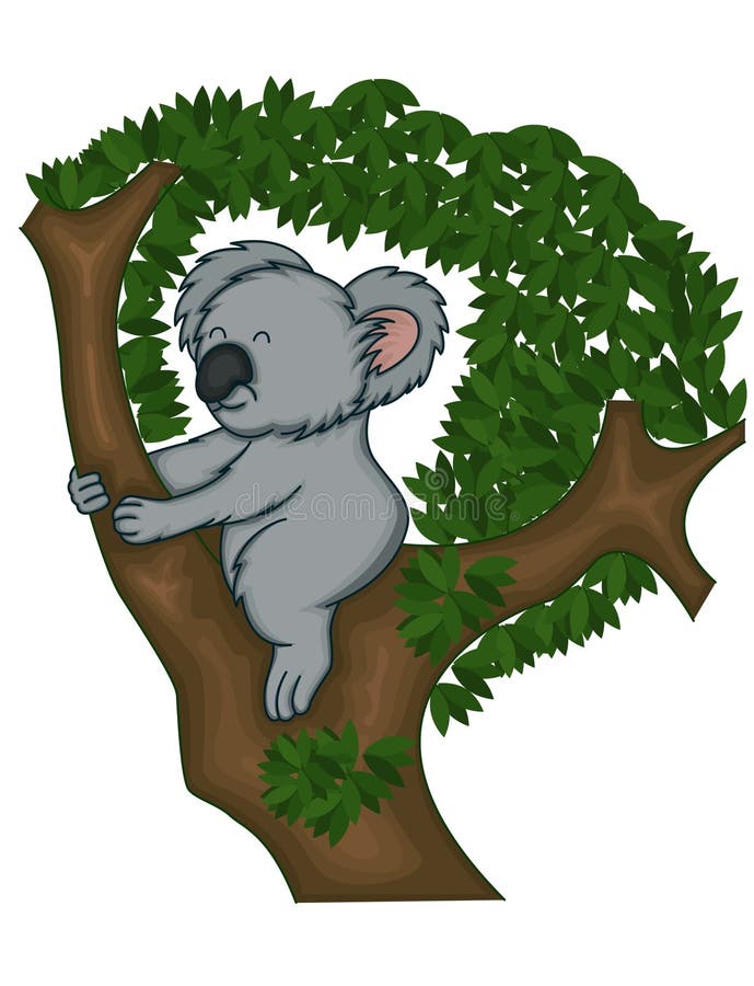 Koala på träd stock illustrationer Koala på träd stock illustrationer