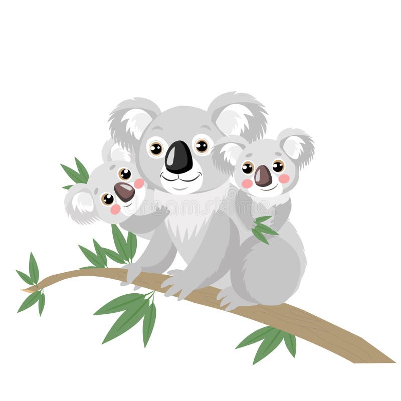 Koalas are Not a Type of Bear. Koala Sitting on Eucalyptus Branch. Stock  Vector - Illustration of cute, animal: 138541315