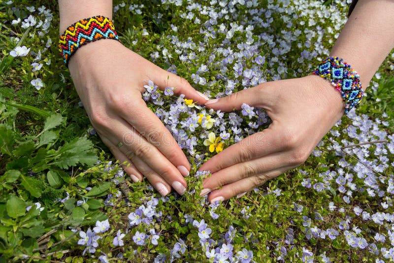 Women's hands folded in the shape of a heart and wildflowers. Romance. Women's hands folded in the shape of a heart and wildflowers. Romance