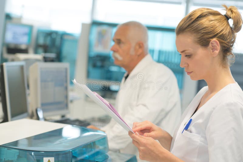Kobieta koledzy i zdjęcie stock Kobieta koledzy i zdjęcie stock