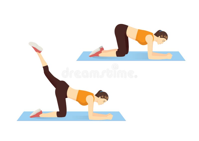 Kobieta seansu krok uda i biodra trening z odwrotnym nogi dźwignięciem ilustracja wektor Kobieta seansu krok uda i biodra trening z odwrotnym nogi dźwignięciem ilustracja wektor