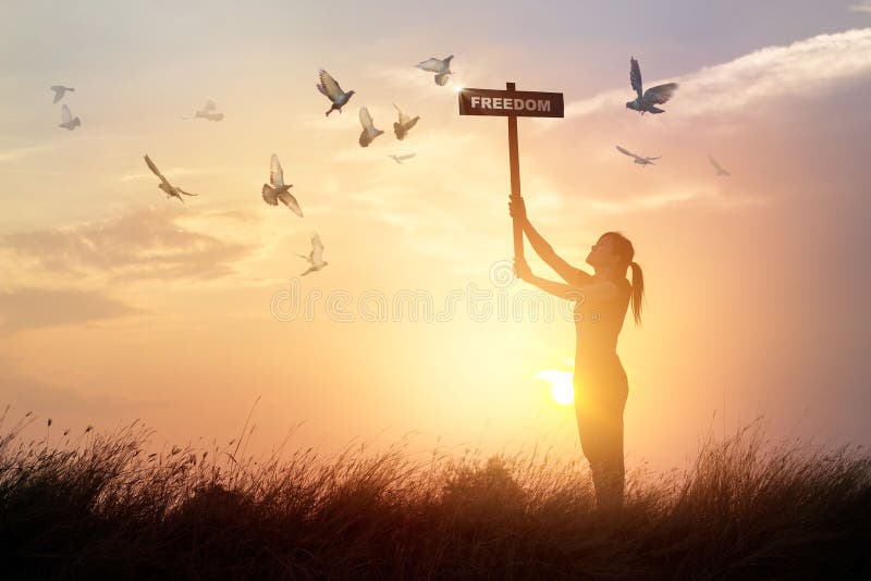 Woman holds a sign with word freedom and flying birds on sunset background. Woman holds a sign with word freedom and flying birds on sunset background