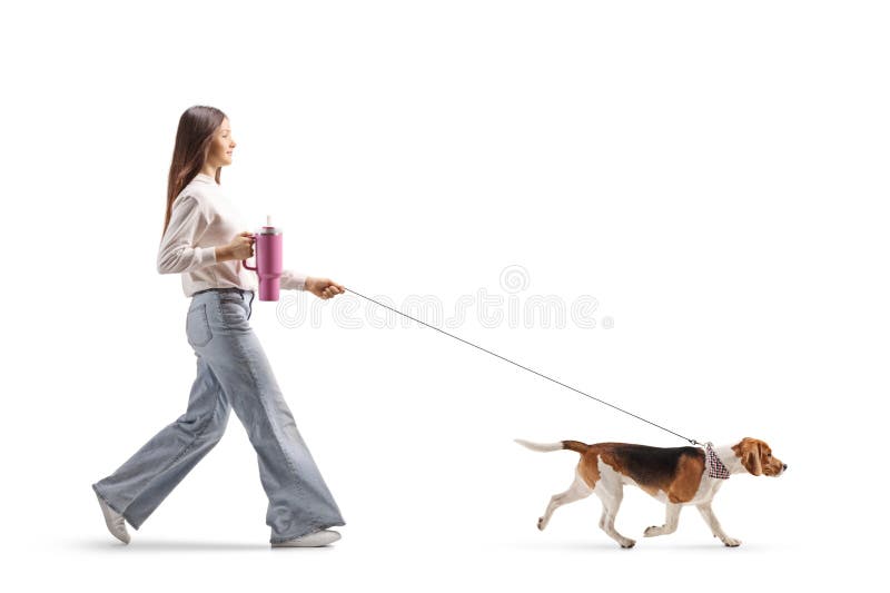 Kobieta trzymająca filiżankę wody i chodząca z beagle dog obraz royalty free
