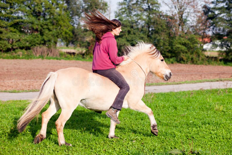 Woman with little horse - horseback riding on paddock. Woman with little horse - horseback riding on paddock