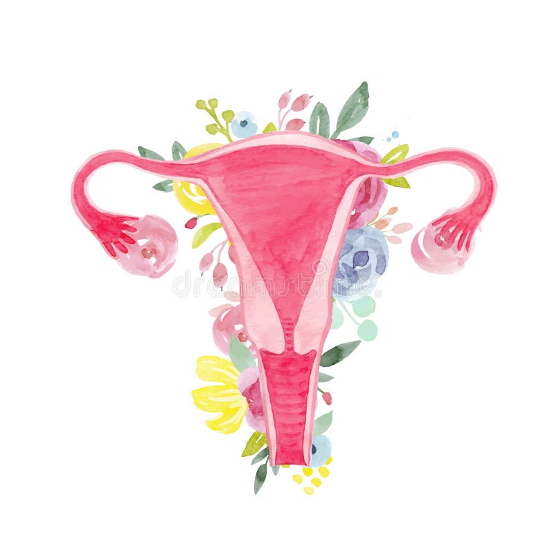 Kobiety macica z kwiatami ilustracyjnymi ilustracji Kobiety macica z kwiatami ilustracyjnymi ilustracji