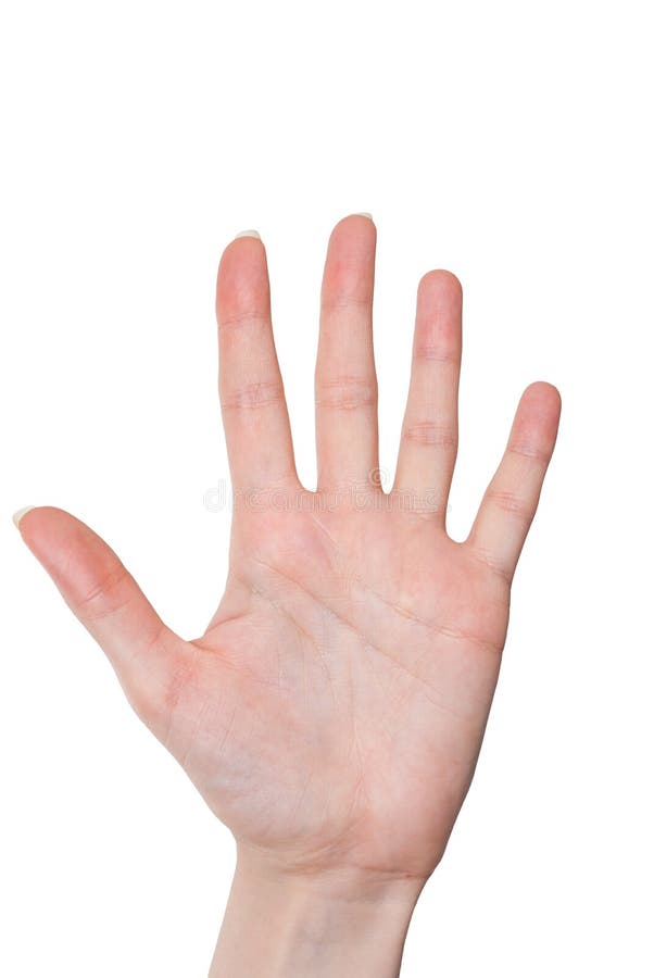 Kobiety otwarta palma odizolowywająca na bielu (ręka)