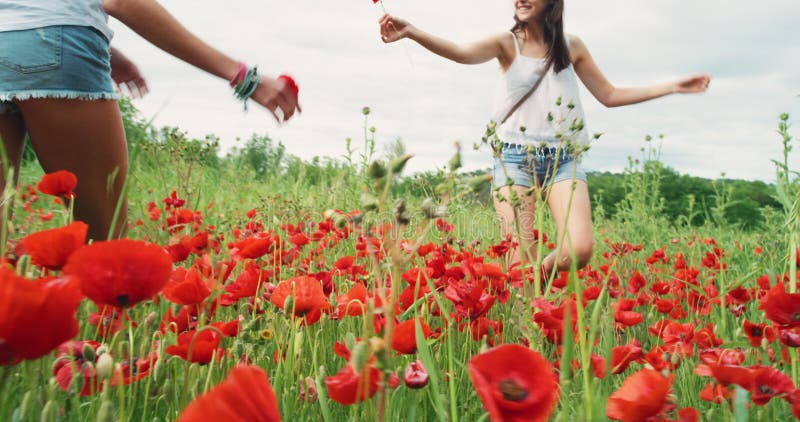 Kobiety szczęśliwe i przyjaciółki na polu kwiatów na sezon wiosenny natura i wakacje w kalifornii. dziewczyny razem i