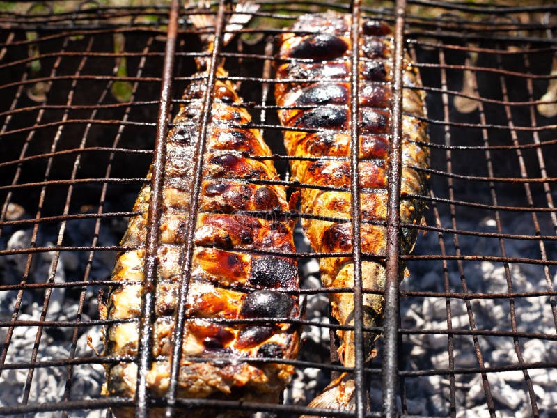 Kochen Gebratener Fisch Auf Kohlen, Makrele Gegrillt Zu Einer Goldenen ...