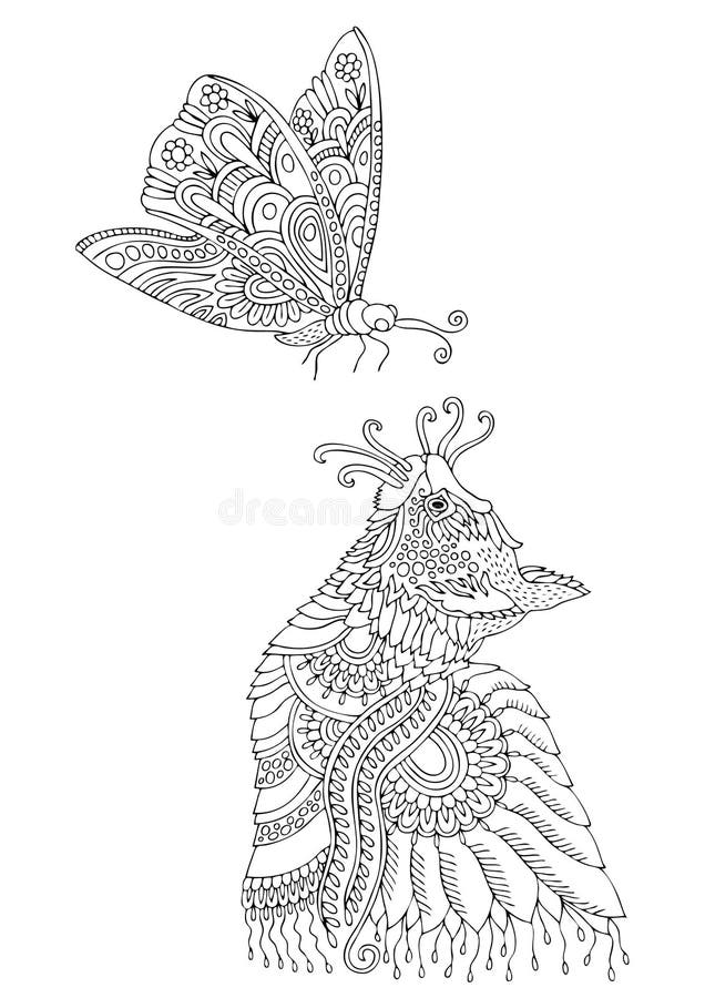 Cat and Butterfly, Adult Coloring Page Stock Vector - Illustration of