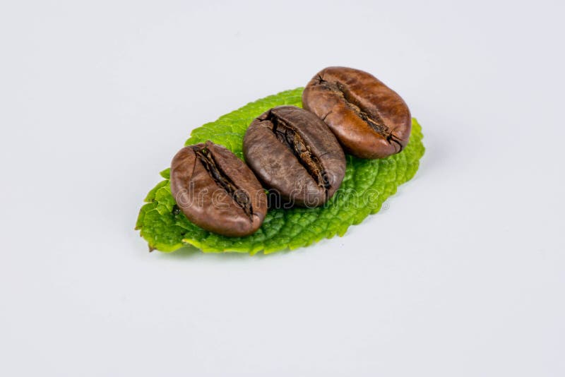Koffiebonen op een blad stock foto's