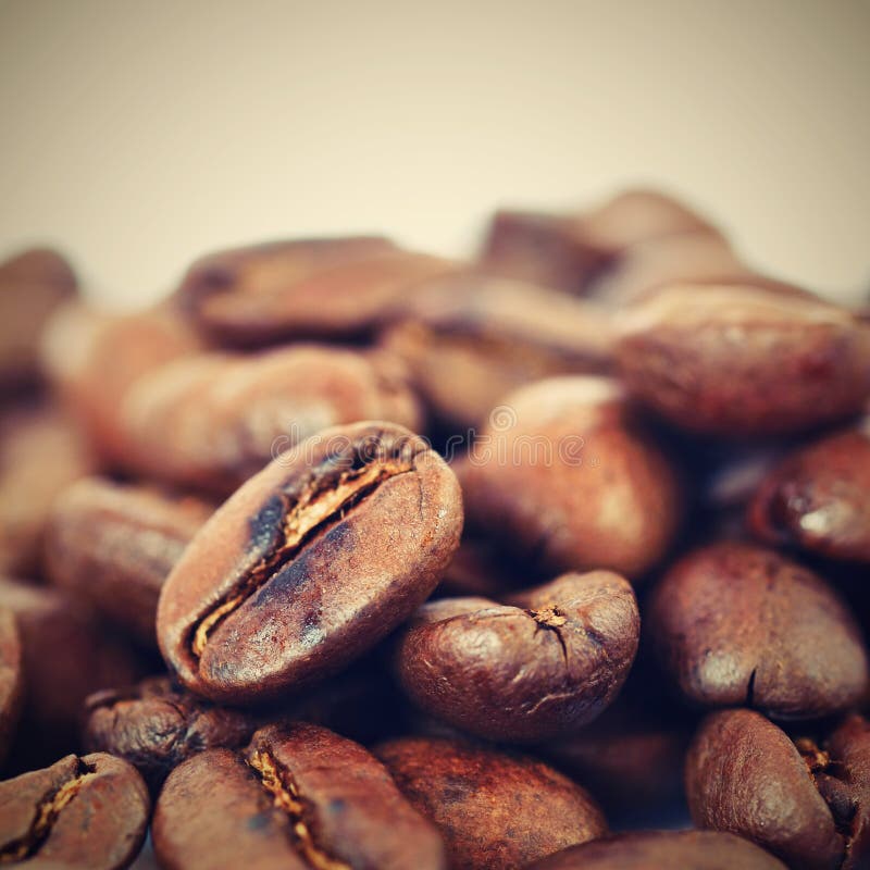 Koffiebonen op witte schone achtergrond Vers geroosterde bemerkte koffie voor espresso 100% Arabica royalty-vrije stock afbeelding Koffiebonen op witte schone achtergrond Vers geroosterde bemerkte koffie voor espresso 100% Arabica royalty-vrije stock afbeelding