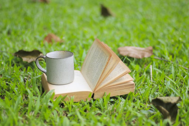 Koffiekop en boeken in het groene gras in de zomerpark stock fotografie Koffiekop en boeken in het groene gras in de zomerpark stock fotografie