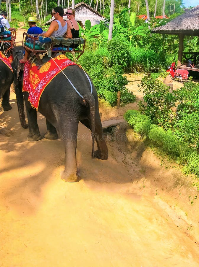 Koh Samui, Thailand June 21, 2008 Tourists Riding Elephants