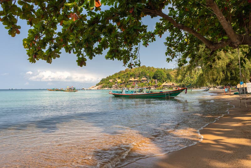 Koh Tao Island, Thailand - March 20, 2023: Tropical paradise sandy Sairee Beach and touristic long-tail taxi boat in sea water on