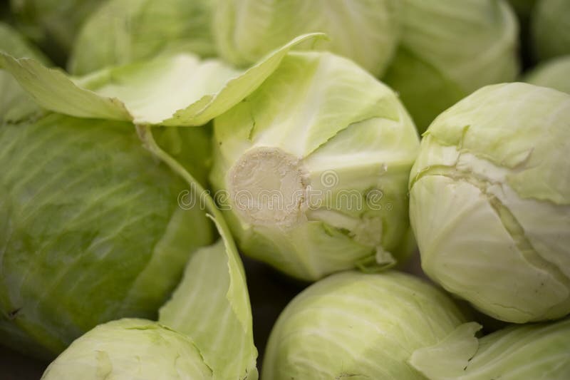 Cabbage on the market. Green cabbage leaf. Healthy food. Vegetables in the store. Cabbage on the market. Green cabbage leaf. Healthy food. Vegetables in the store