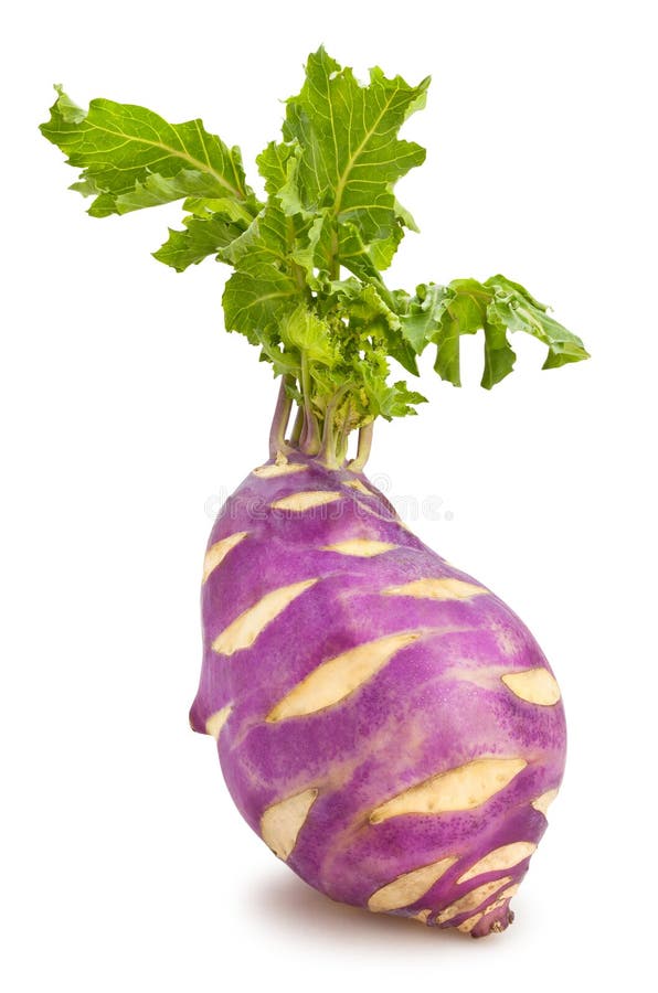 Kohlrabi stock photo. Image of purple, freshness, gourmet - 106607572