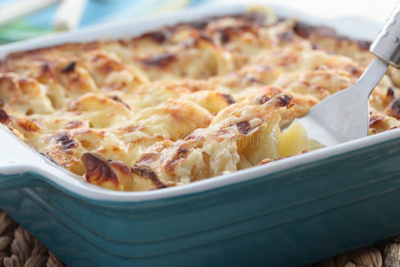 Kohlrabi and potato gratin stock photo. Image of vegetables 27027720