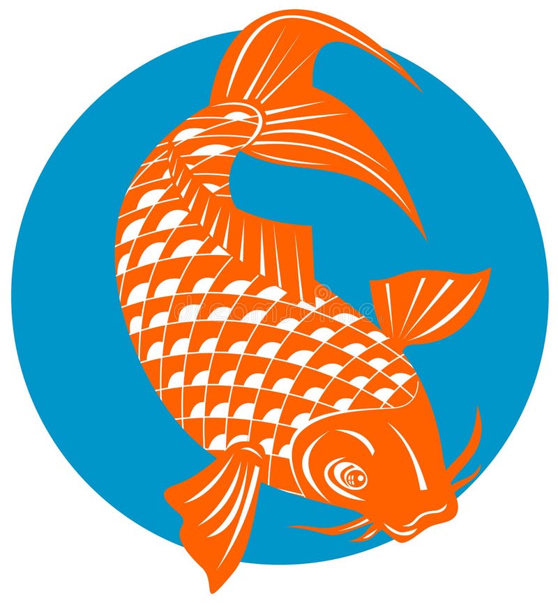 Koi carp