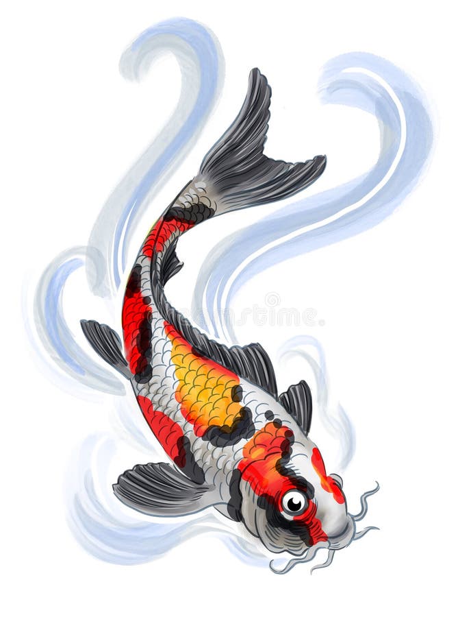 Koi fish stock illustration. Illustration of background - 195471423