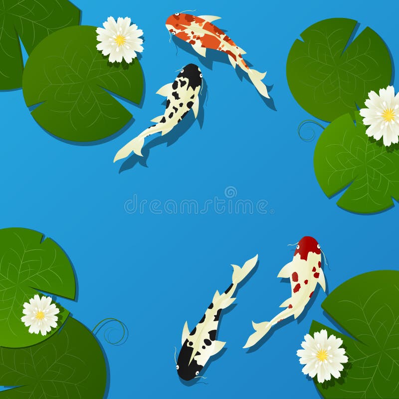 Koi Fish And Lotus Royalty Free Stock Photography Image 32917637