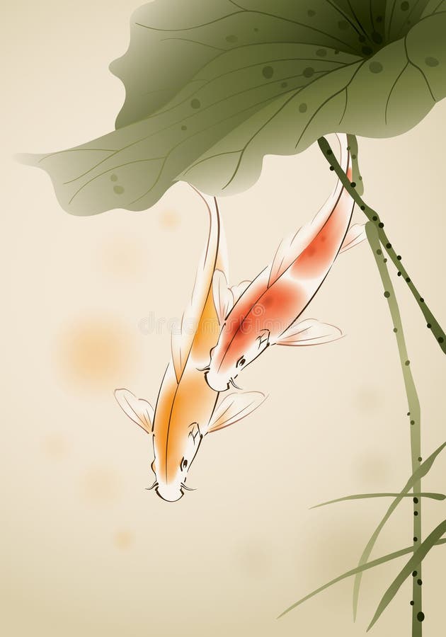 Koi fishes in lotus pond